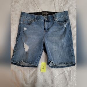 Torrid Shorts
